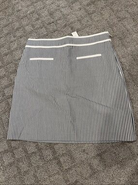Talbots Navy and White Striped Pencil Skirt